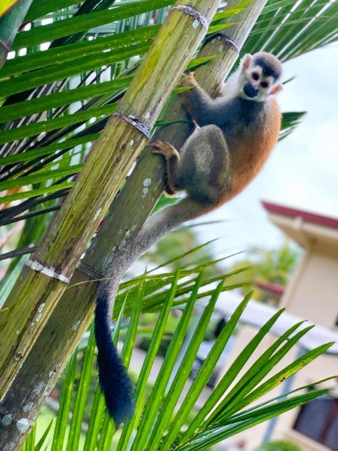 Suenos De Amor! Hermoso Y Acogedor Lugar Quepos Bagian luar foto